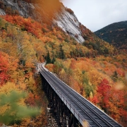 Fall Landscape