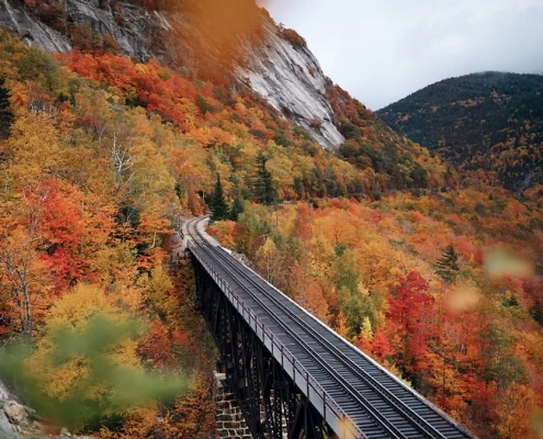 Fall Landscape