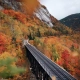 Fall Landscape