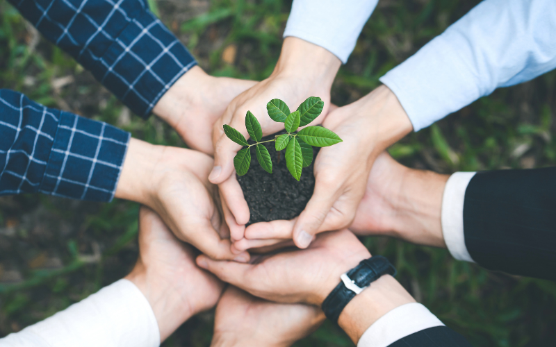 Leaders at scale website backgrounders (14)